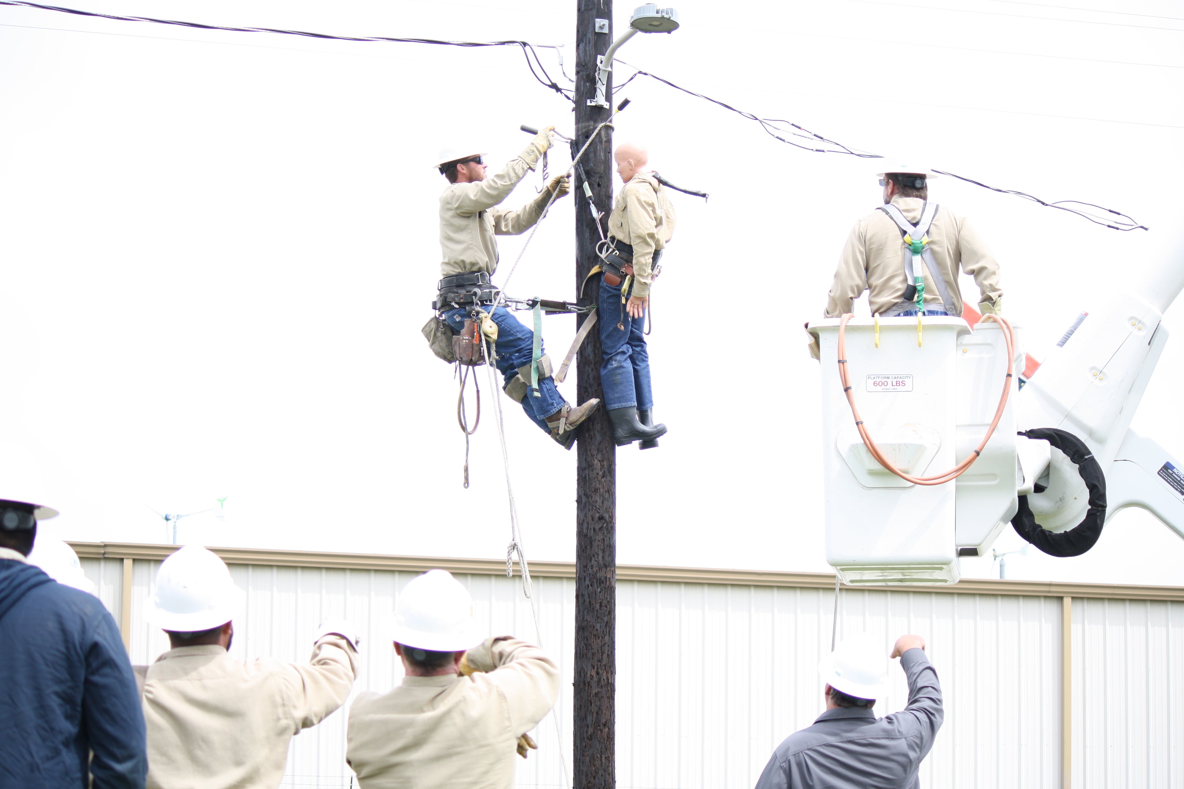 Safety in Motion | United Cooperative Services