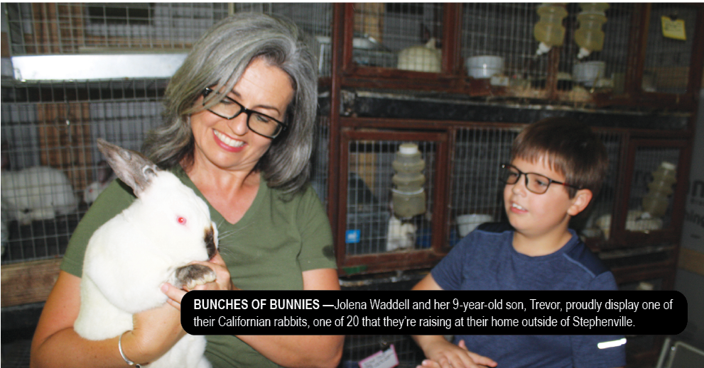 Jolena and Trevor Waddell show off their Californian rabbits. 