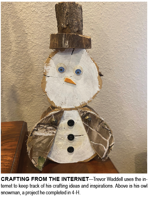 CRAFTING FROM THE INTERNET—Trevor Waddell uses the internet to keep track of his crafting ideas and inspirations. Above is his owl snowman, a project he completed in 4-H.  