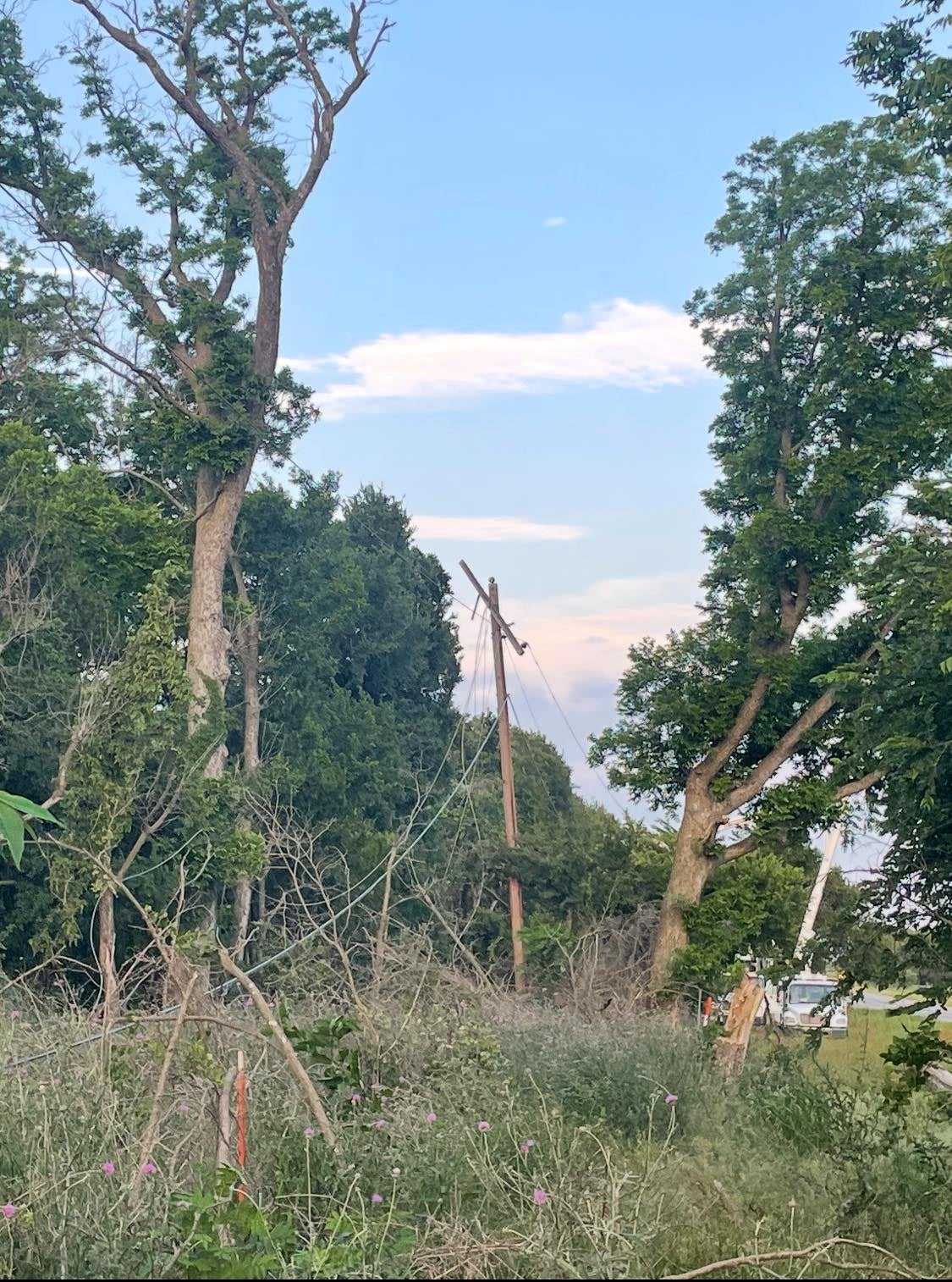 Downed lines