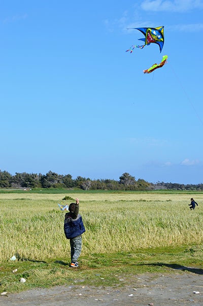 Kids flying kites