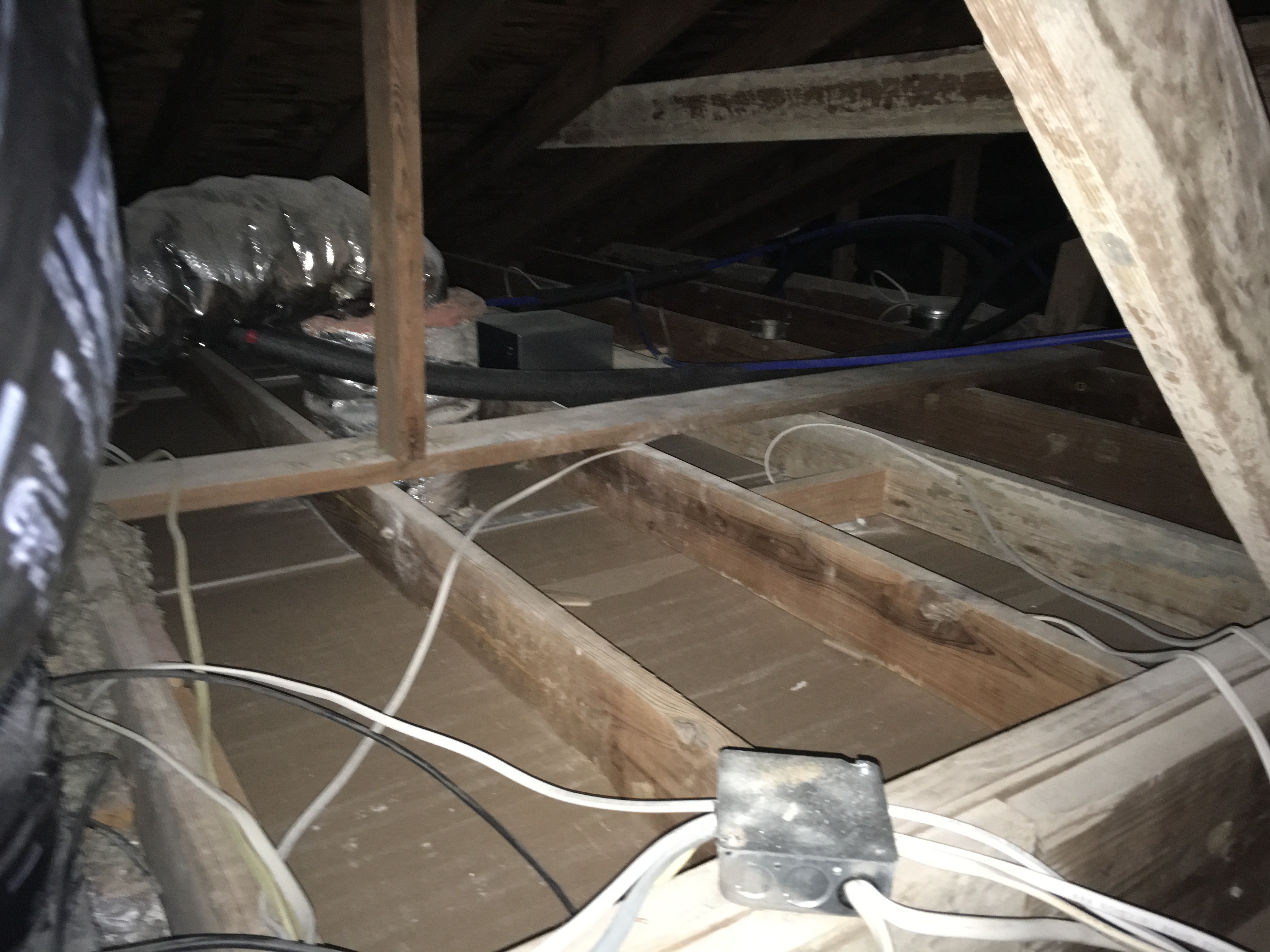 No attic insulation