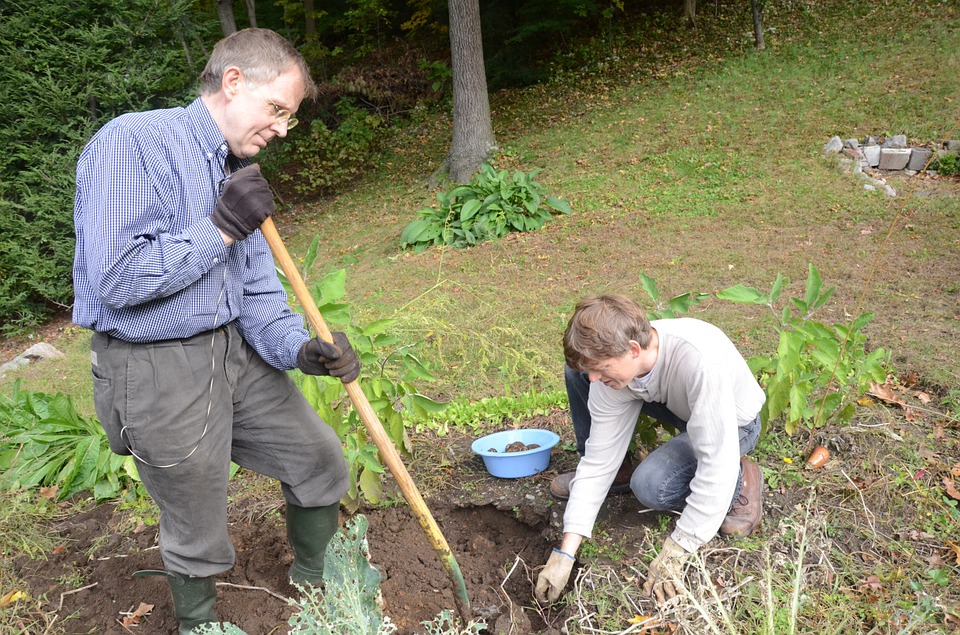 Two people digging and gardening