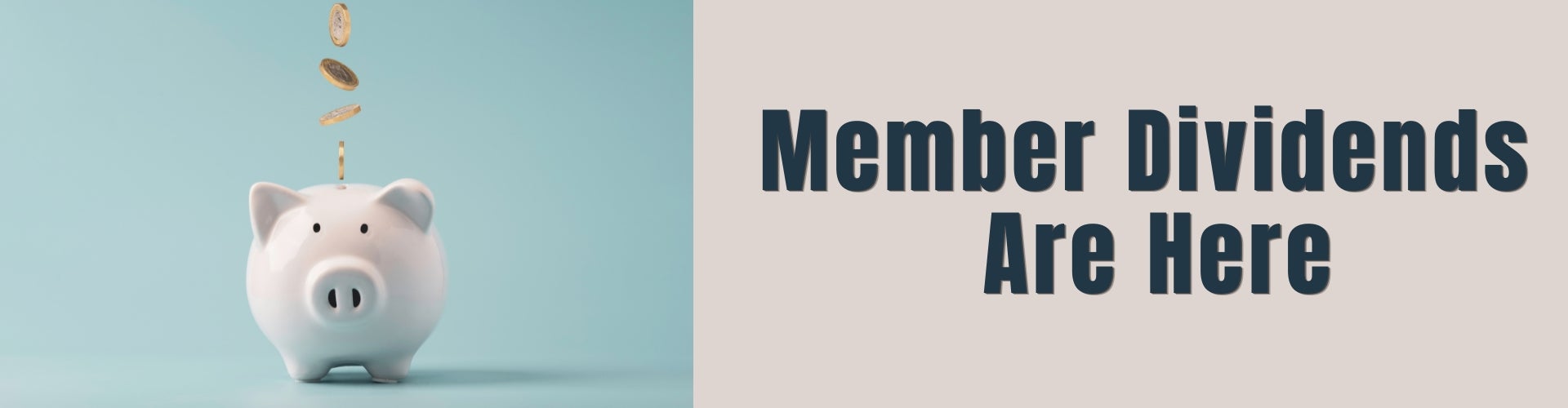 https://ucs.net/sites/default/files/revslider/image/MEMBER%20DIVIDENDS.jpg