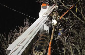 Linemen in a tree