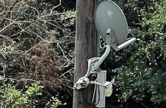 Clutter attached to poles, like this satellite dish, create a hazard for linemen and weaken infrastructure.