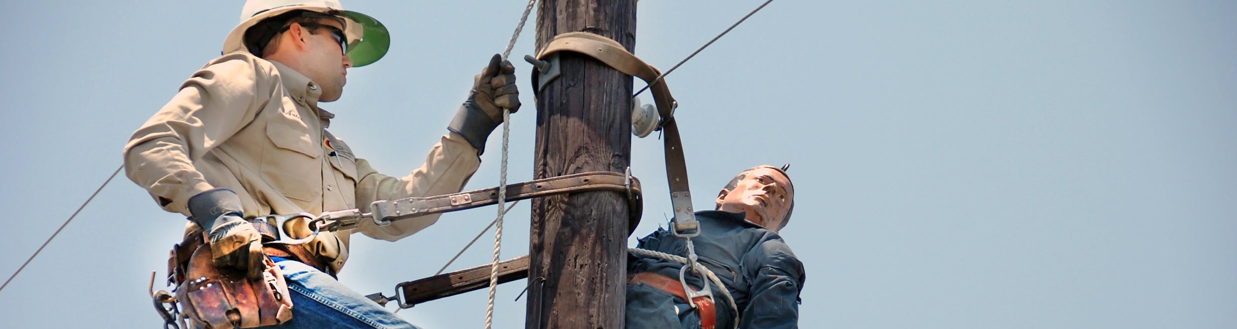 Poletop rescue image