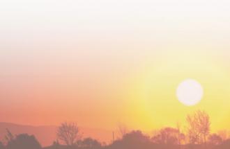 Hot summer scene